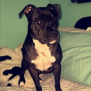 Meet your Posher, Phil